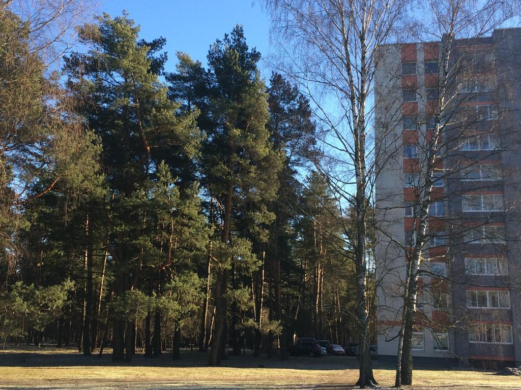 Ferienwohnung Angel Druskininkai Exterior foto
